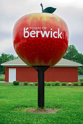 Town of Berwick Apple